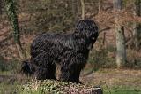 BRIARD 087
